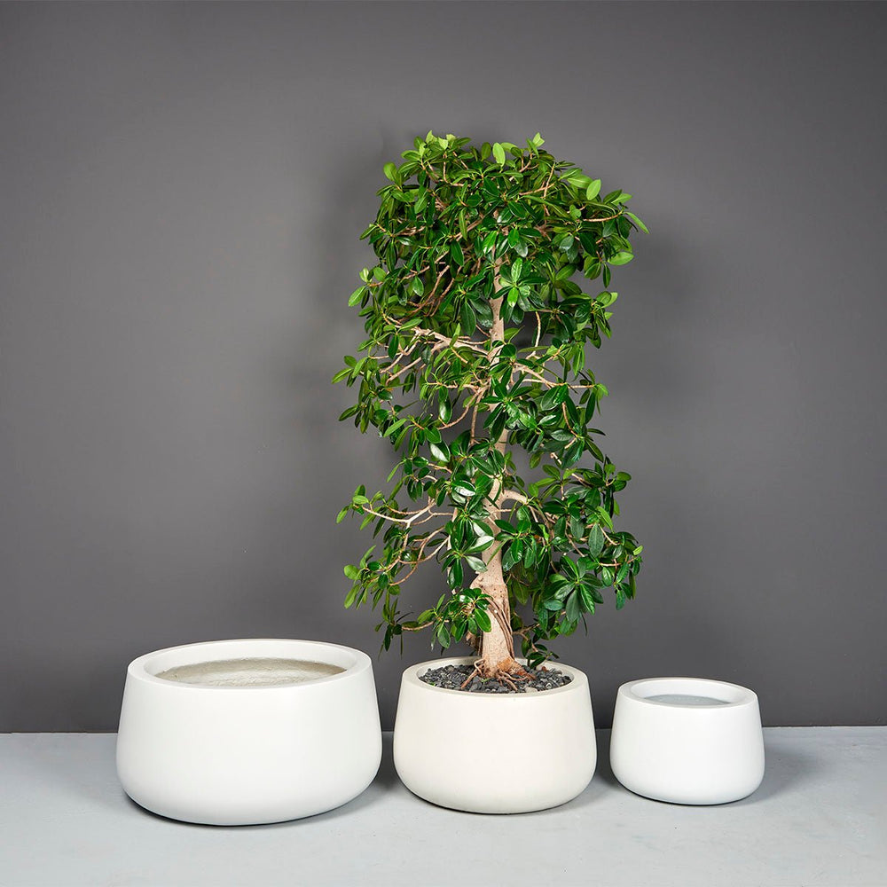 Short Tapered Round Container for Indoor and Outdoor Use - LDF Silkcontainers