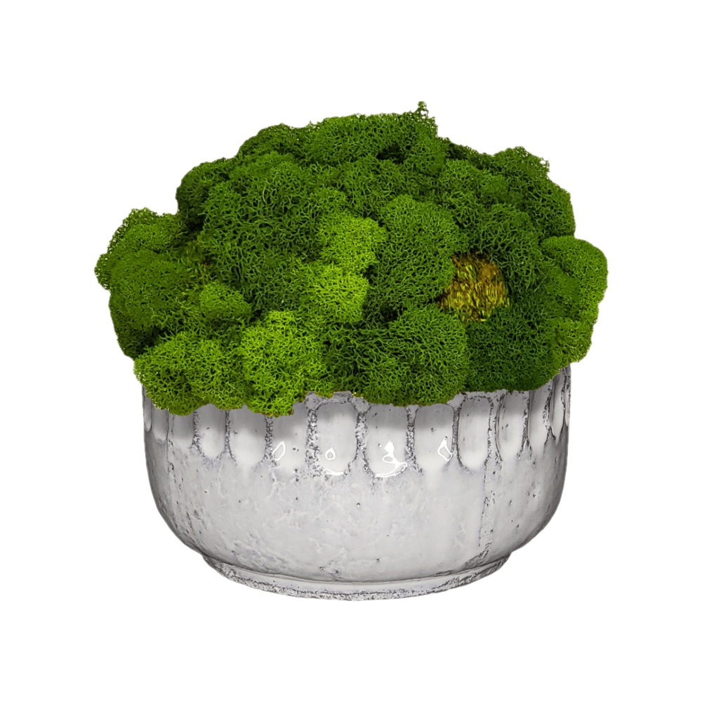 Single Mixed Moss Mound in Ceramic Bowl 8"H. Alternate container option available. - LDF Silk