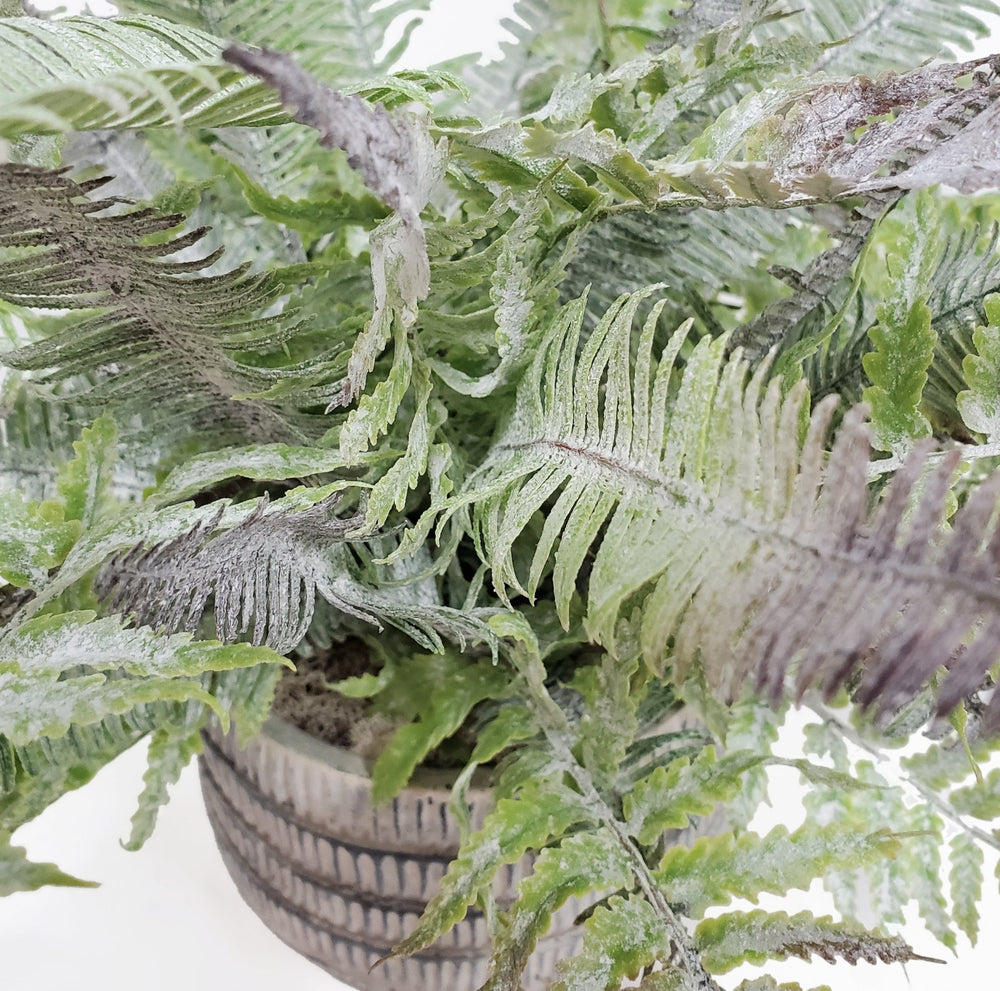 Soft Fern in Cachpot 14"H - LDF Silkplants