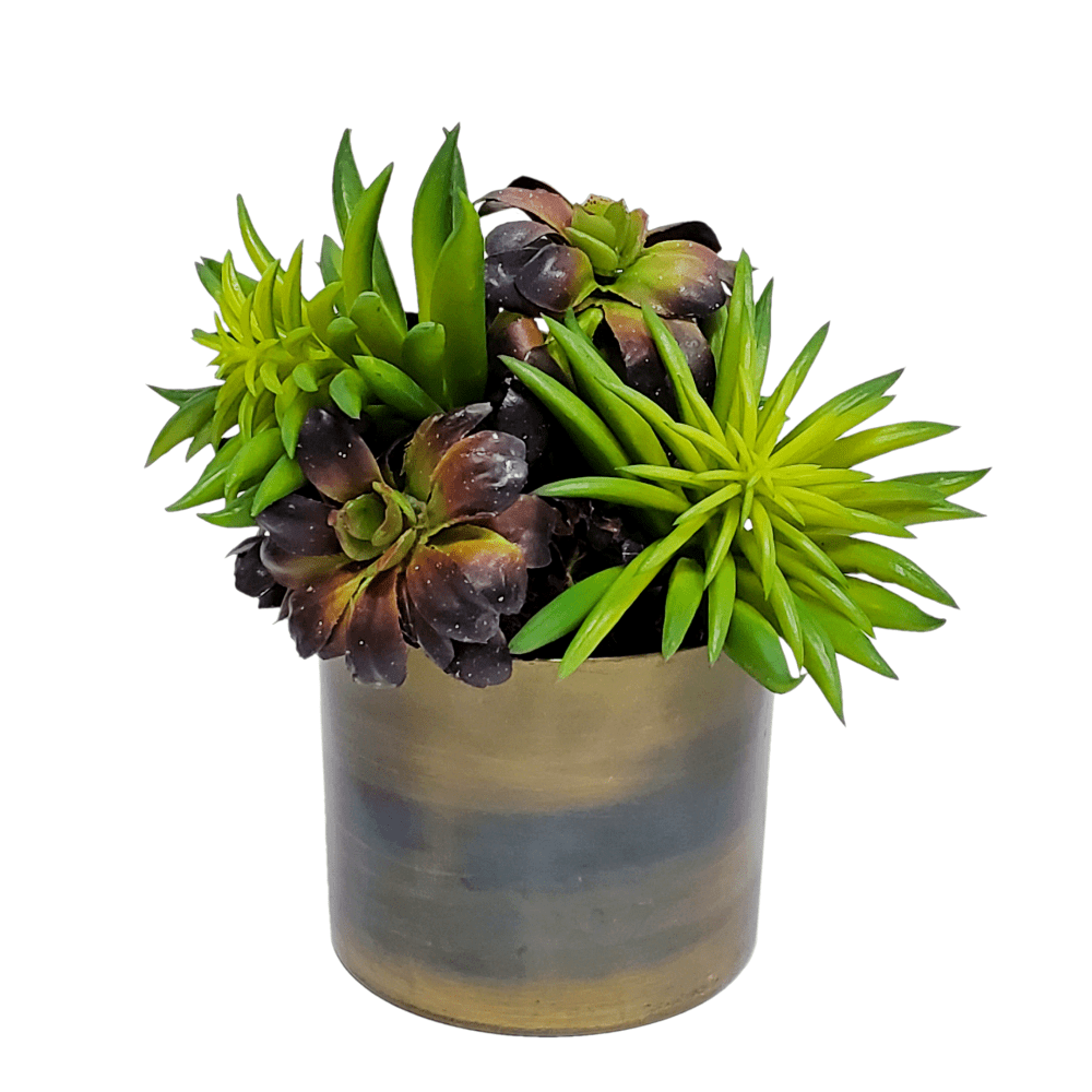 Starburst Succulent with Succulents in Container 6"H - LDF SilkArtificial Flora