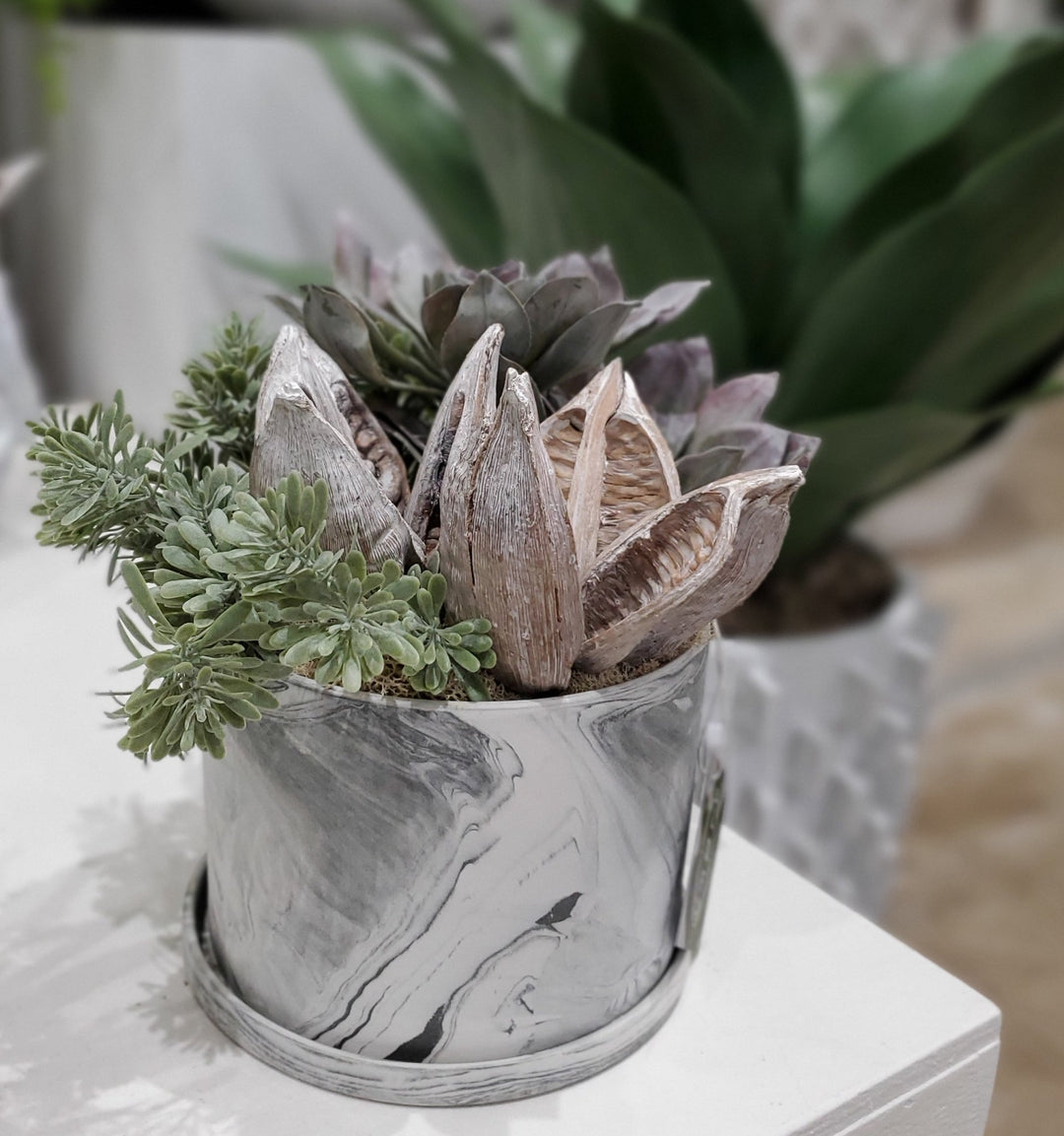 Succulent with Sedum and Dried Sora Pods in Ceramic 13"H - LDF Silk