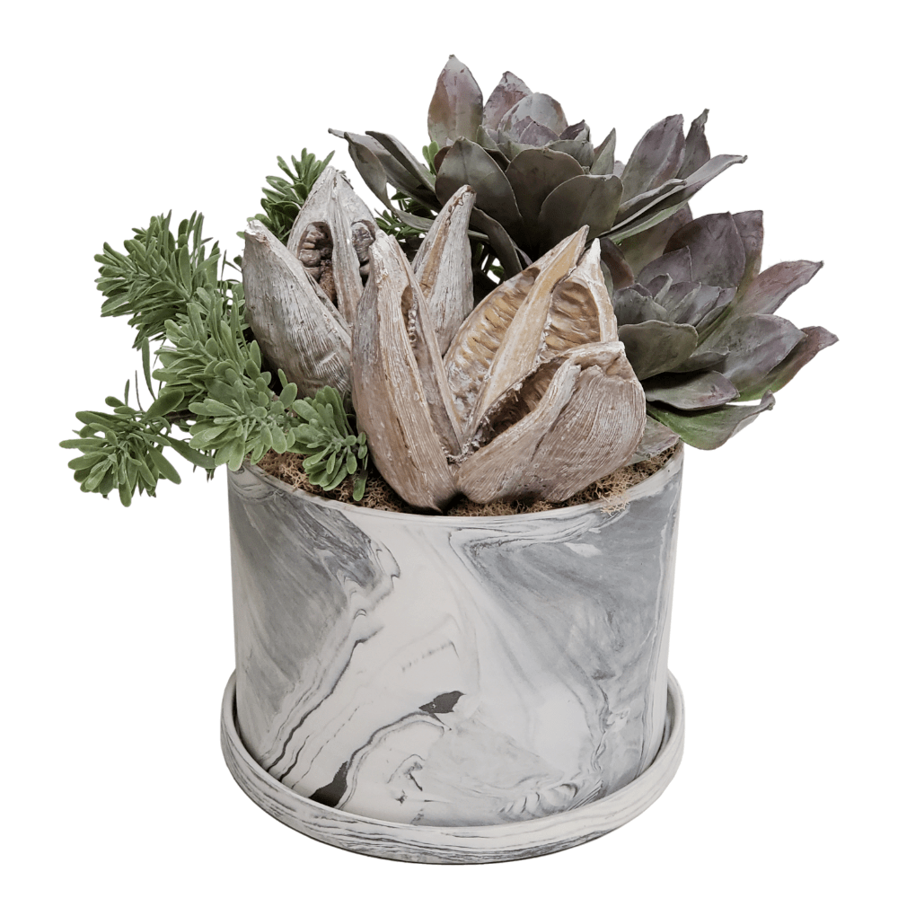 Succulent with Sedum and Dried Sora Pods in Ceramic 13"H - LDF Silk