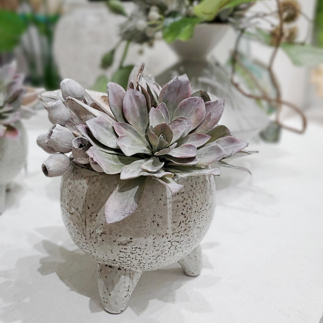 Succulent with Sora Pod and Belgum Pods in Glazed Ceramic 11"H - LDF Silk