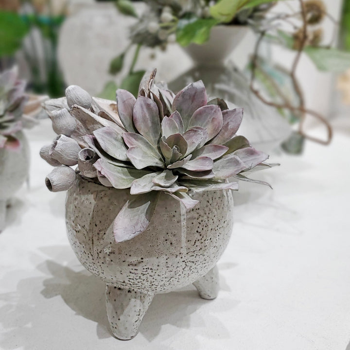 Succulent with Sora Pod and Belgum Pods in Glazed Ceramic 11"H - LDF Silk