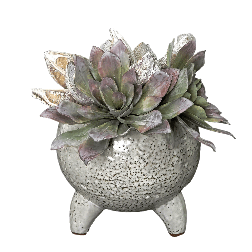 Succulent with Sora Pod and Belgum Pods in Glazed Ceramic 11"H - LDF Silk