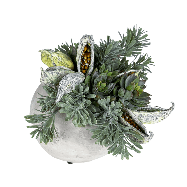 Succulents and Dried Pods in Planter - LDF SilkSucculent