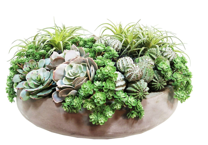 Succulents and Jade Carbonite Stones in Bowl - LDF Silksucculents