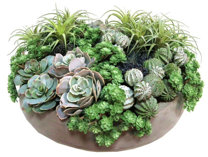 Succulents and Jade Carbonite Stones in Bowl - LDF Silksucculents