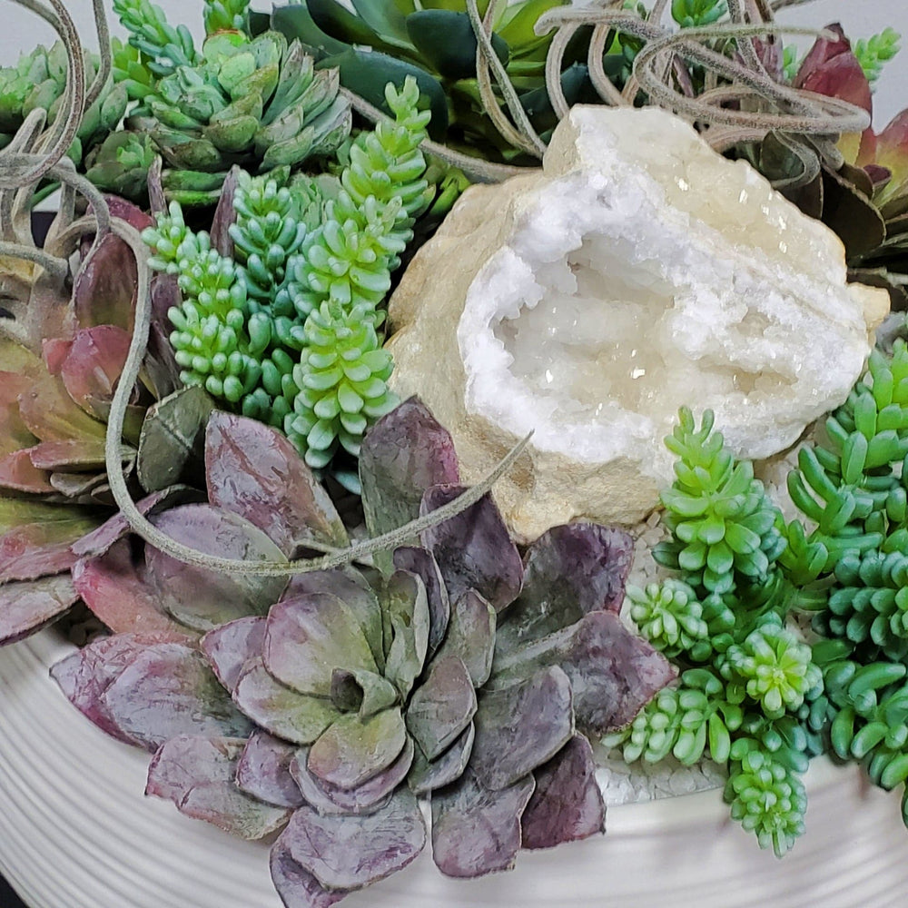 succulents and pebbles Succulents and Tillandsia with Geode and Pebbles in Ceramic 12"H – LDF Silk