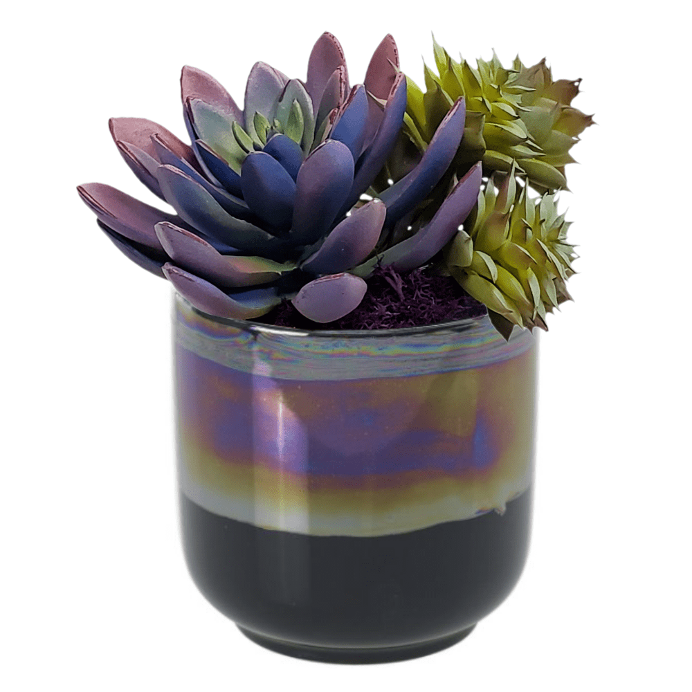 Succulents in Ceramic 6.5"H - LDF Silk
