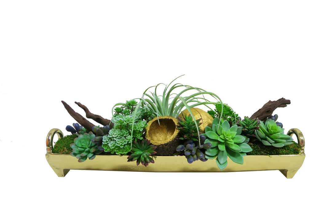 Succulents, Protea and Mixed Succulents with Dried Bell Cups in Container - LDF SilkSucculent