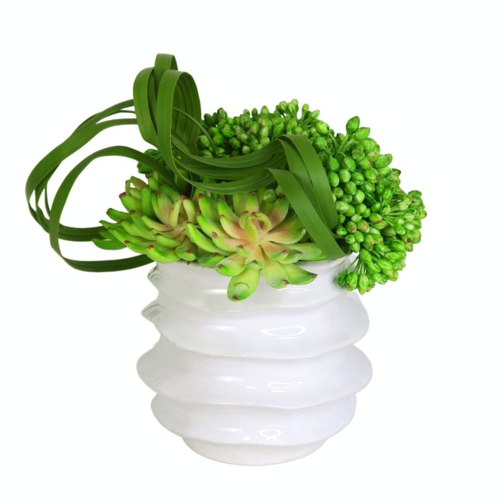 Succulents, Sedum and Looped Leaf in Pot 11"H - LDF SilkSucculent