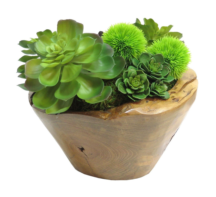 Succulents with Allium Balls and Crystal in Bowl - LDF SilkSucculent