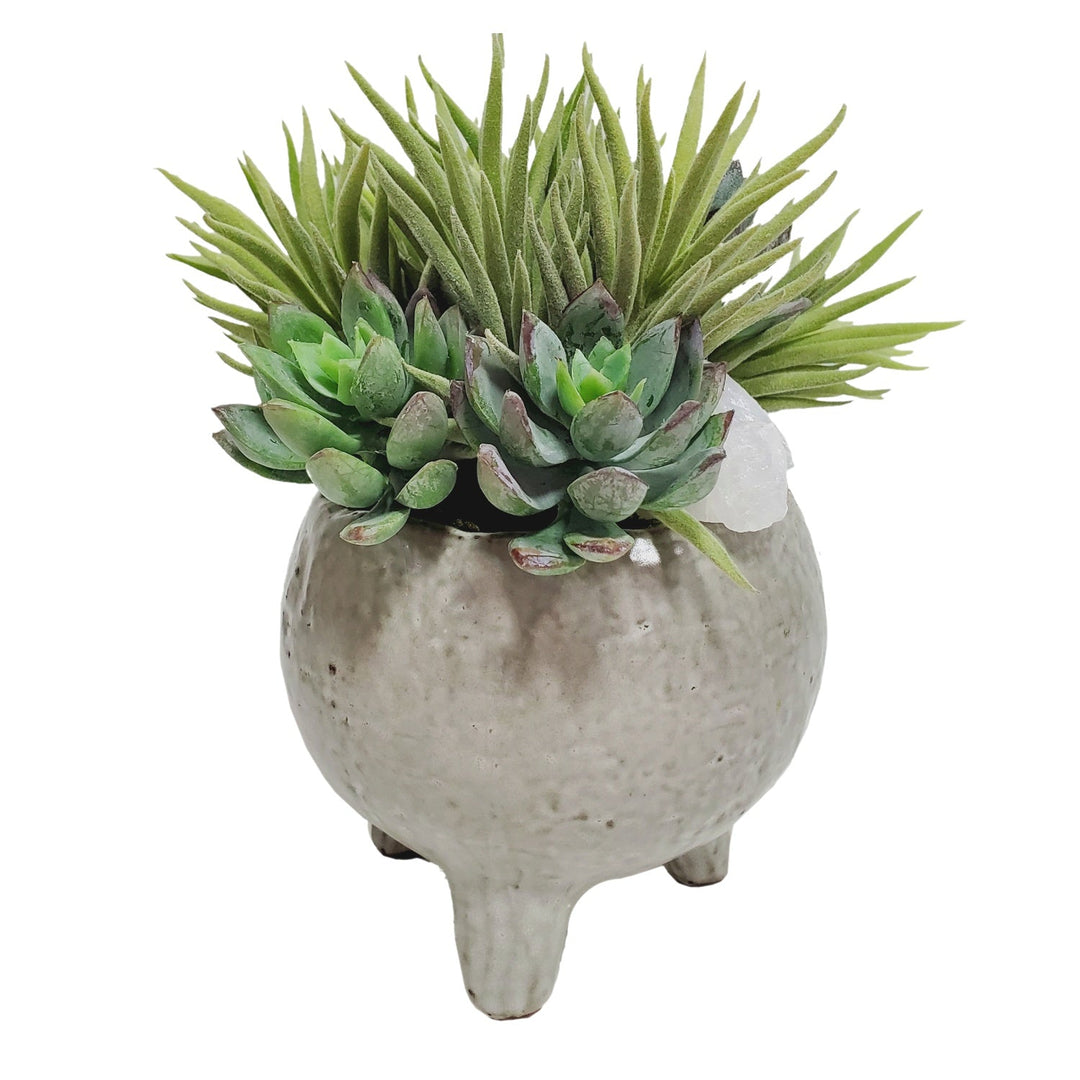 Succulents with Crystals in Ceramic - LDF SilkSucculent