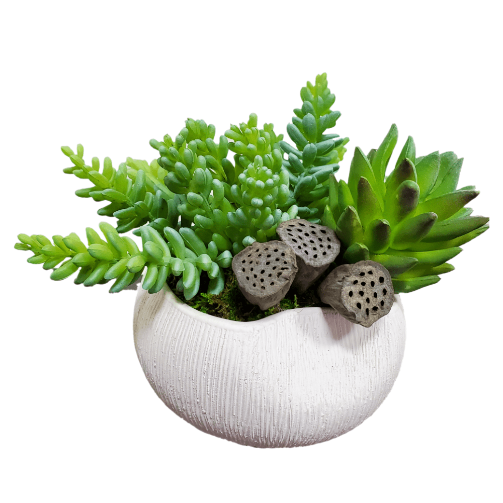 Succulents with Dried Lotus Pods in Ceramic 6"H - LDF Silk