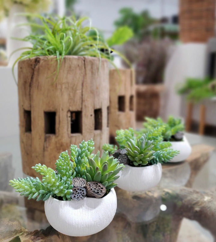 Succulents with Dried Lotus Pods in Ceramic 6"H - LDF Silk