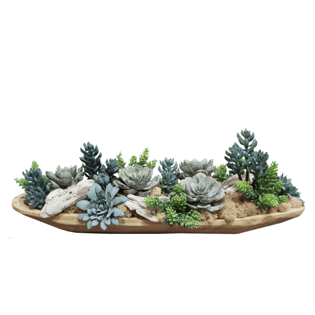 moss on succulents Succulents with Driftwood and Natural Reindeer Moss in Container 9"H – LDF Silk