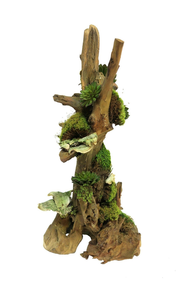 Succulents with Mushrooms and Moss on Driftwood Sculpture - Small Size - LDF Silksucculents