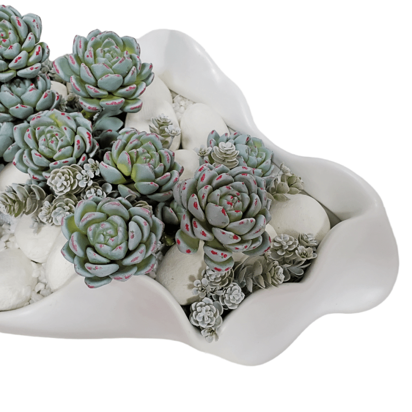 Succulents with Rocks in Container. - LDF SilkSucculent