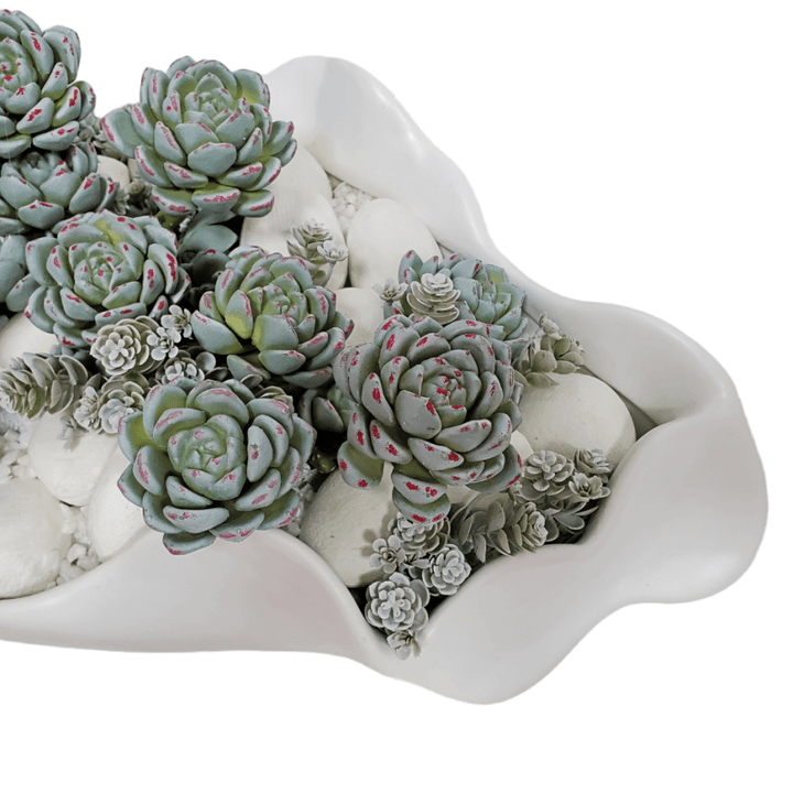 Succulents with Rocks in Container. - LDF SilkSucculent