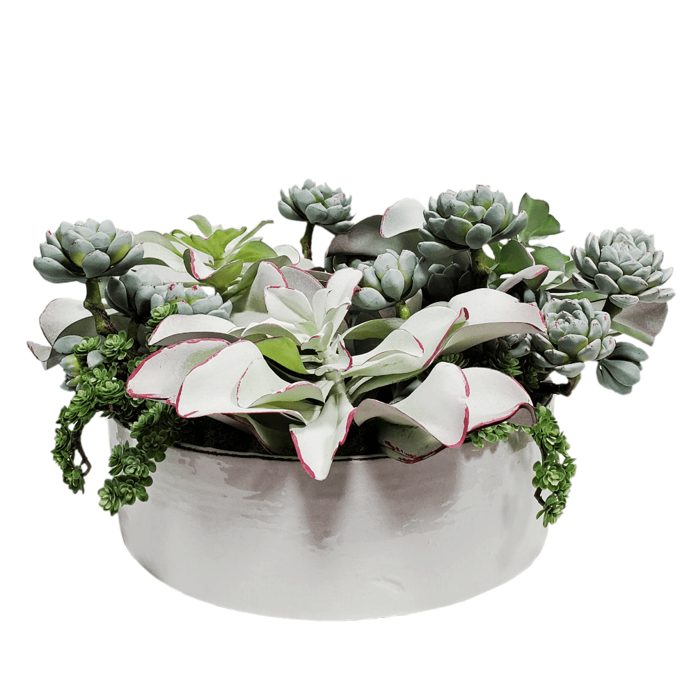 Succulents with Sedum in Ceramic 12"H - LDF SilkArtificial Flora