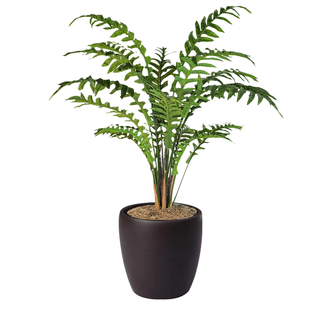 Sword Fern in Pot - LDF Silkplants