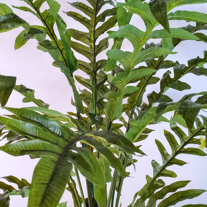 Sword Fern in Pot - LDF Silkplants