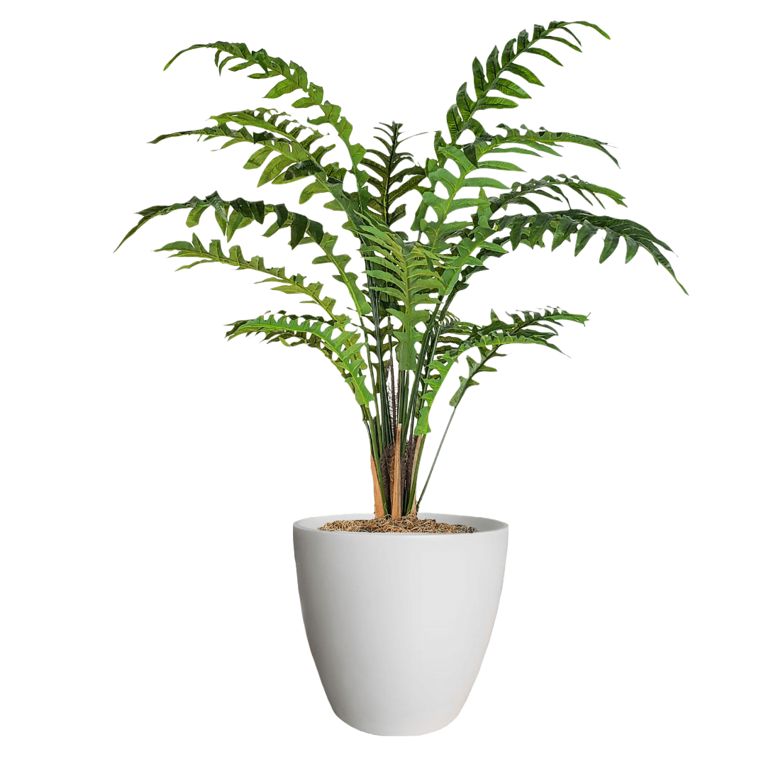 Sword Fern in Pot - LDF Silkplants