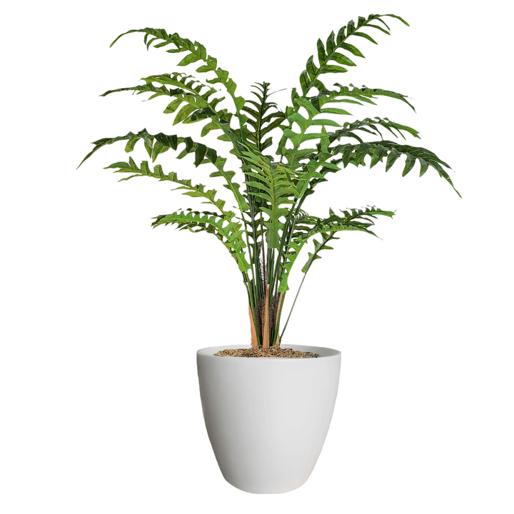 Sword Fern in Pot - LDF Silkplants
