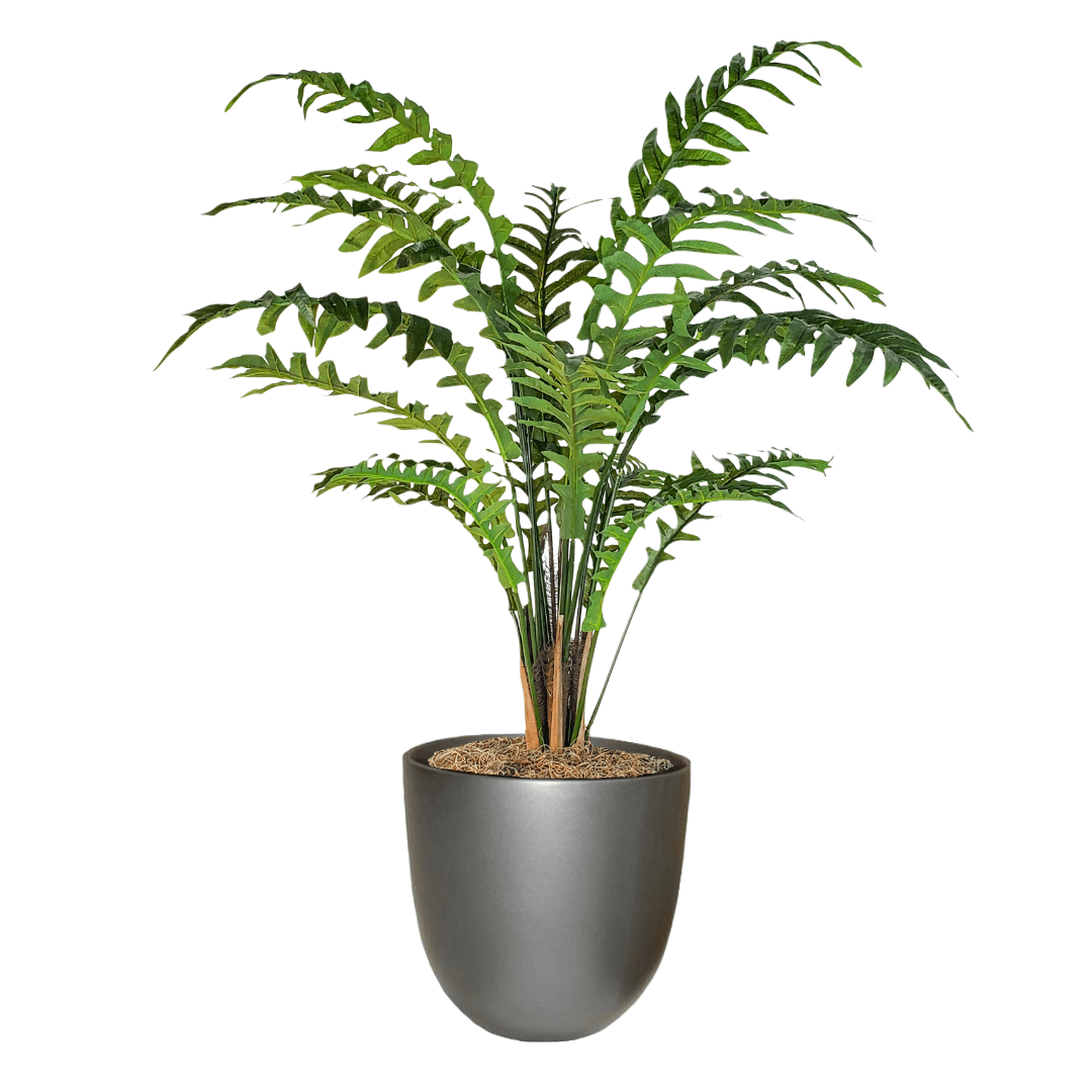 Sword Fern in Pot - LDF Silkplants