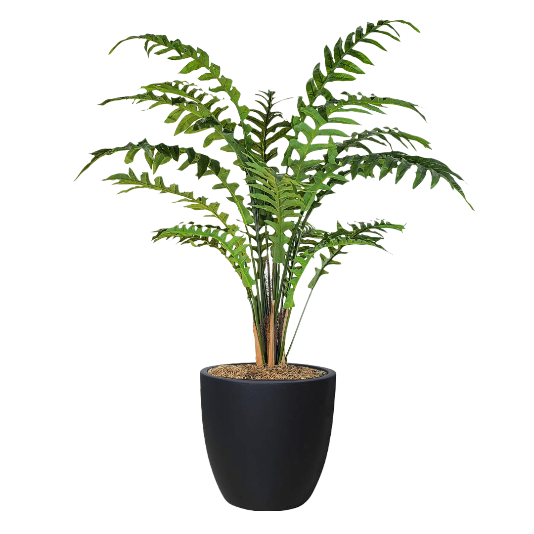 Sword Fern in Pot - LDF Silkplants