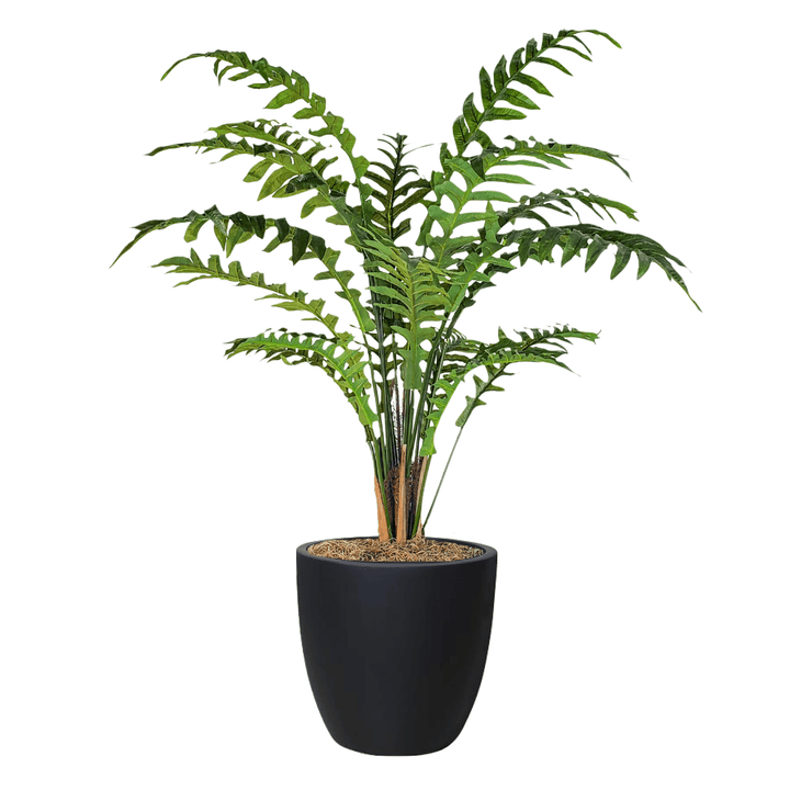 Sword Fern in Pot - LDF Silkplants