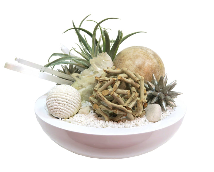 Tillandsia with Crystal and Puka Shell Ball in Bowl - LDF Silksucculents