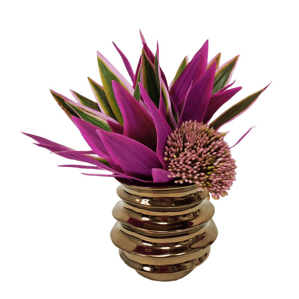 Tradescantia Succulent with Seed Cluster in Ceramic 8"H - LDF Silk