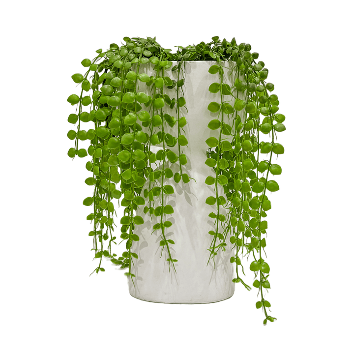 Trailing Button Fern in Ceramic - LDF Silkplants