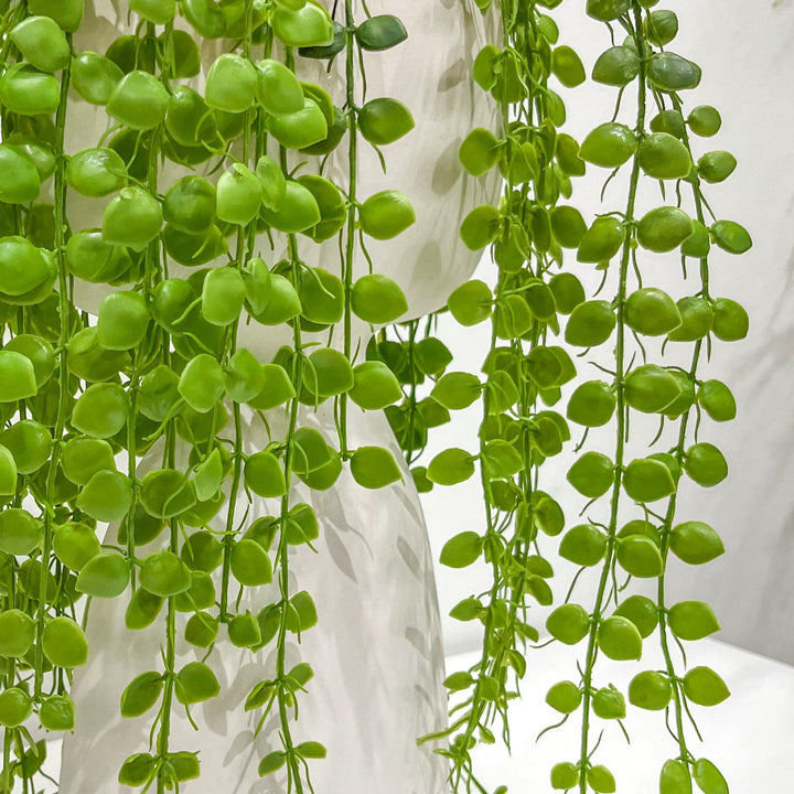 Trailing Button Fern in Ceramic - LDF Silkplants