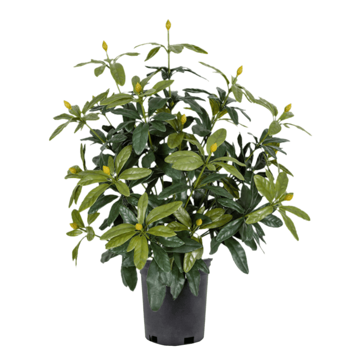 UV Outdoor Rhododendron Bush - Various Fullness Available - LDF Silkplants