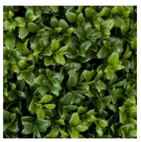UV Protected Outdoor New Leaf Boxwood Sphere - Various Sizes Available - LDF Silkplants