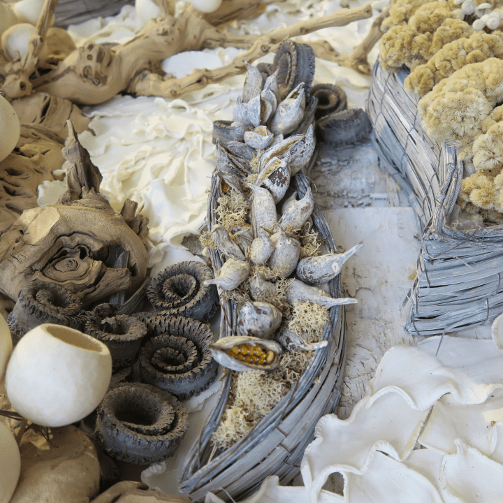 Wall Art with Dried Preserved Elements and Botanical Impressions in Wood Frame - LDF Silk