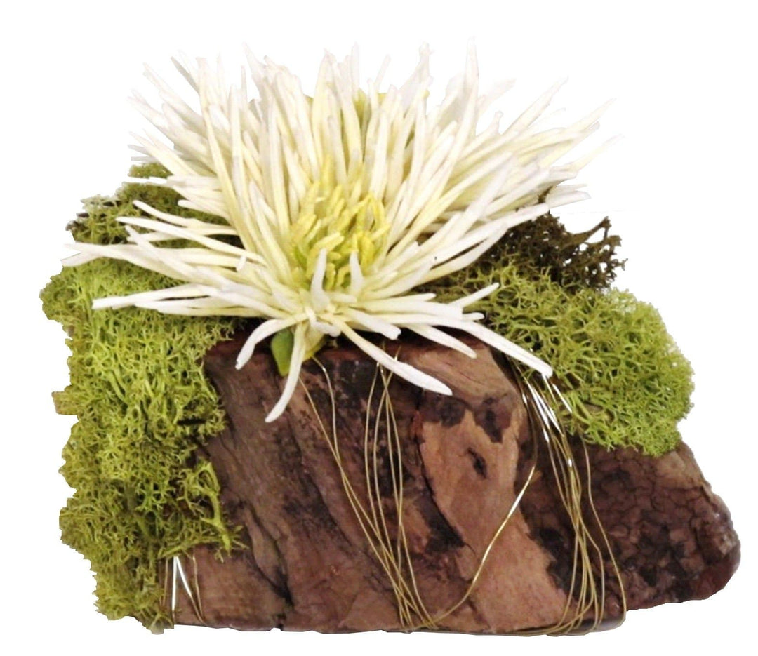Wood Wedge with Reindeer Moss and Spider Mums 5"H - LDF SilkFlorals