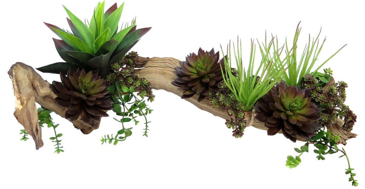 Wood with Mixed Succulents 13"H - LDF SilkSucculent