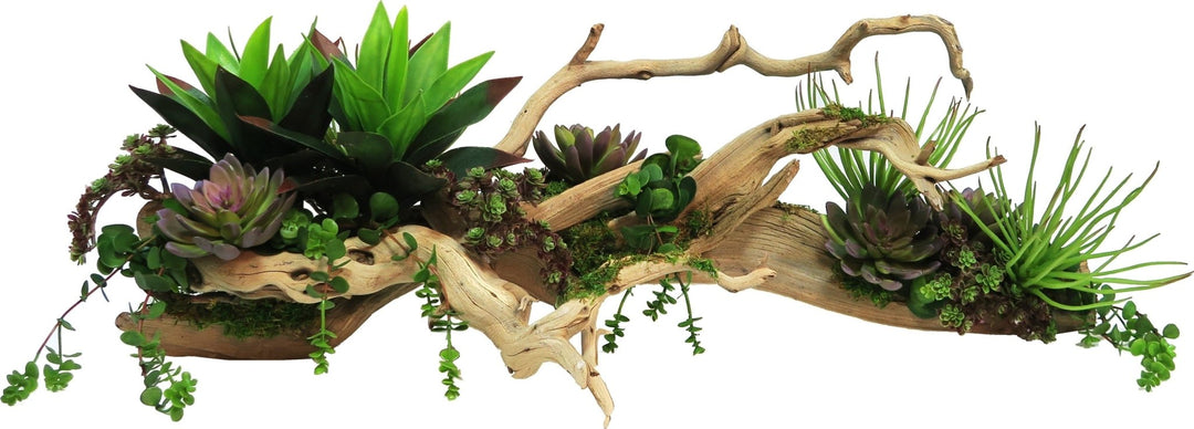 Wood with Mixed Succulents 13"H - LDF SilkSucculent