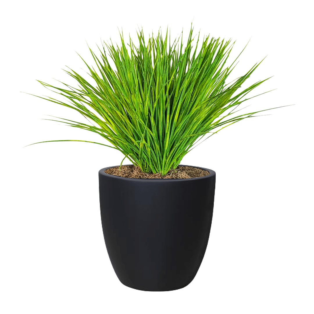 Zebra Grass in Pot - LDF Silkplants