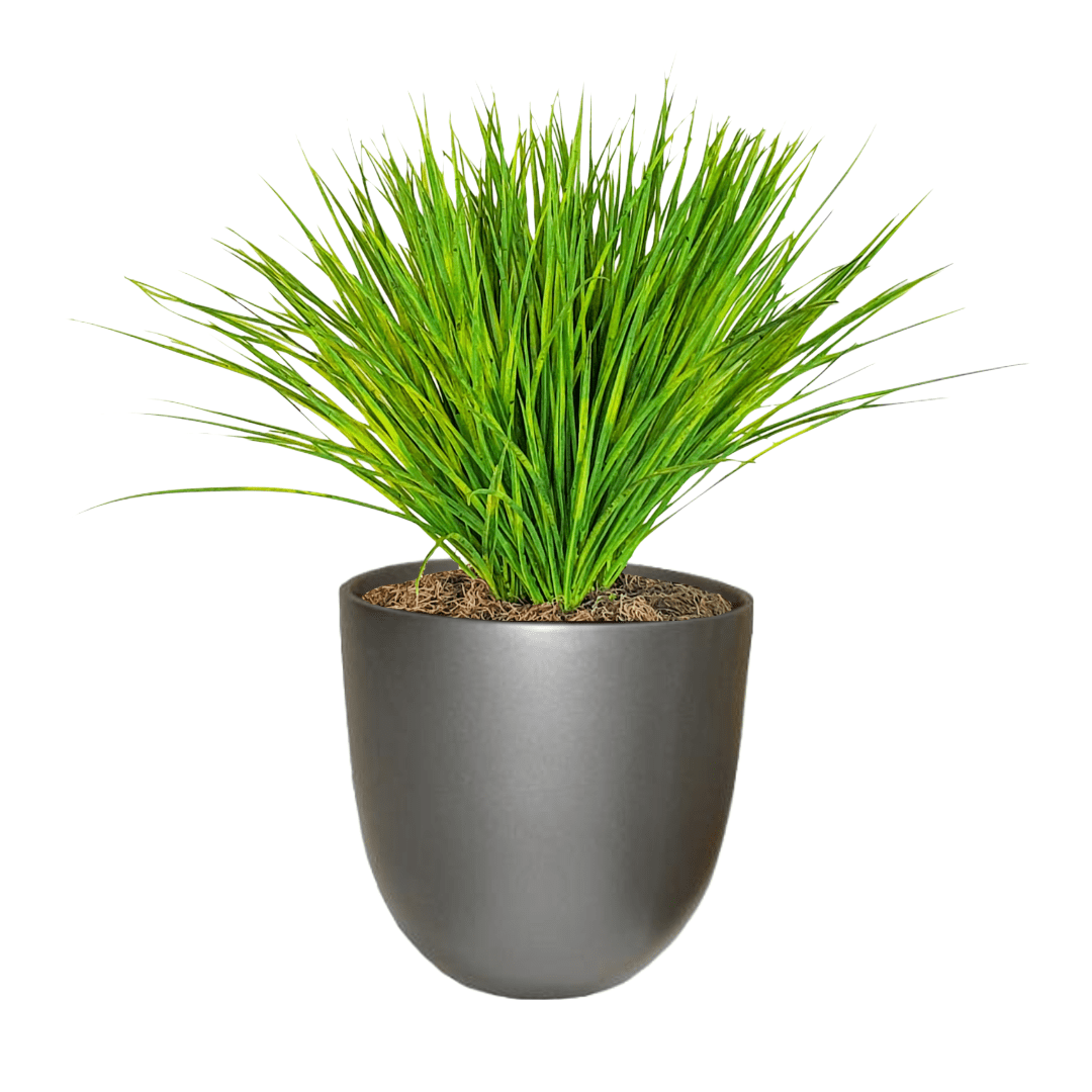 Zebra Grass in Pot - LDF Silkplants