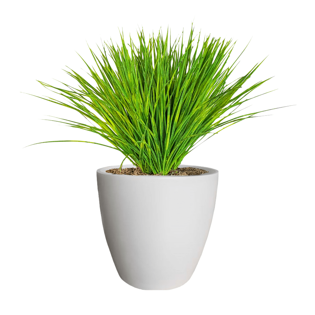 Zebra Grass in Pot - LDF Silkplants